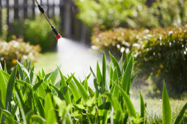 24/7 Emergency Termite Control experts in Winlock, WA